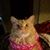 Valerie Becklund's profile image