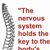 Healing Pathways Chiropractic's profile image