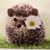 Dawn Donahoo's profile image