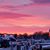 Debra Lorenzen's profile image