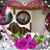 Barbara Dell Buzbee's profile image