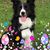 Stephanie Cuillier's profile image
