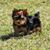 Anita Louise Porter's profile image