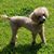 Joanie McLin Buchanan's profile image