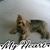 Kathy Couty's profile image