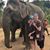 Melody Redburn's profile image