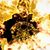 Jason Edward Conroy's profile image