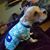 Heather McGee's profile image