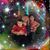 Darlene Sirak Meyers's profile image