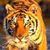 Rmk Besmar's profile image