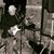 Richard Murray's profile image