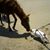 Kathy Morgan's profile image
