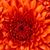 Shannon Byrum's profile image