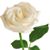Allen Jay Burton's profile image