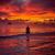 Suzette Murrell's profile image
