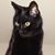 Shelley M Jones's profile image