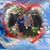 Frances Haskett Smith's profile image