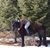 Heather Lynn Duquaine Tetzlaff's profile image
