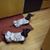 Paula Larkin Rogers's profile image