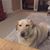 Chuck Moynan's profile image