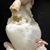 Adella Christine Bradley's profile image