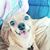 Mariah L. Bauman's profile image