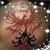 Cecelia Bell's profile image