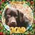 Christine Valluzzi's profile image