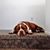 Don Ediger's profile image