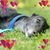 Cathy Wilder's profile image
