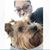 Paloma Seely's profile image
