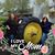 Angie Cotrell's profile image