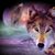 Nette May's profile image