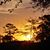 Jeffrey A. Labbe's profile image
