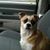 Jac Jordan-Roney's profile image