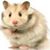 Vic Rivera's profile image
