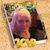 Gail Ann Tagge-Olson's profile image