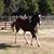 Jennifer Stark Leitch's profile image