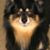Carol Snyder's profile image