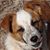 Lisa Freeland's profile image