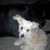 Deb Jackson's profile image