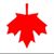 Csaba Hollo's profile image