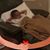 Abbe Evans's profile image