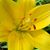 Linda Wronski Hurless's profile image