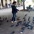 Margarita Casarrubias Crespo's profile image