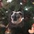 Theresa Jane's profile image