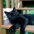 David Eastham's profile image