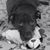 Donna Savard Mcloughlin's profile image