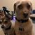 Sheryl Danner's profile image