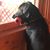 Betsy Bartocha Glosson's profile image